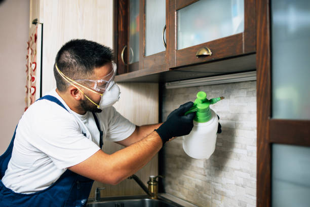 Best Residential Pest Control  in Oldsmar, FL
