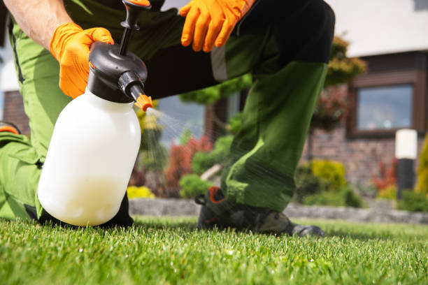 Best Pest Prevention Services  in Oldsmar, FL