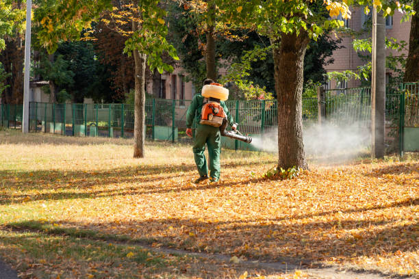 Reliable Oldsmar, FL Pest Control Solutions