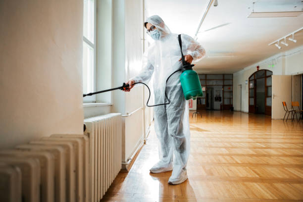 Wasp Removal Services in Oldsmar, FL